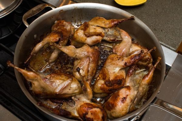 Chicken in Wine in No Time