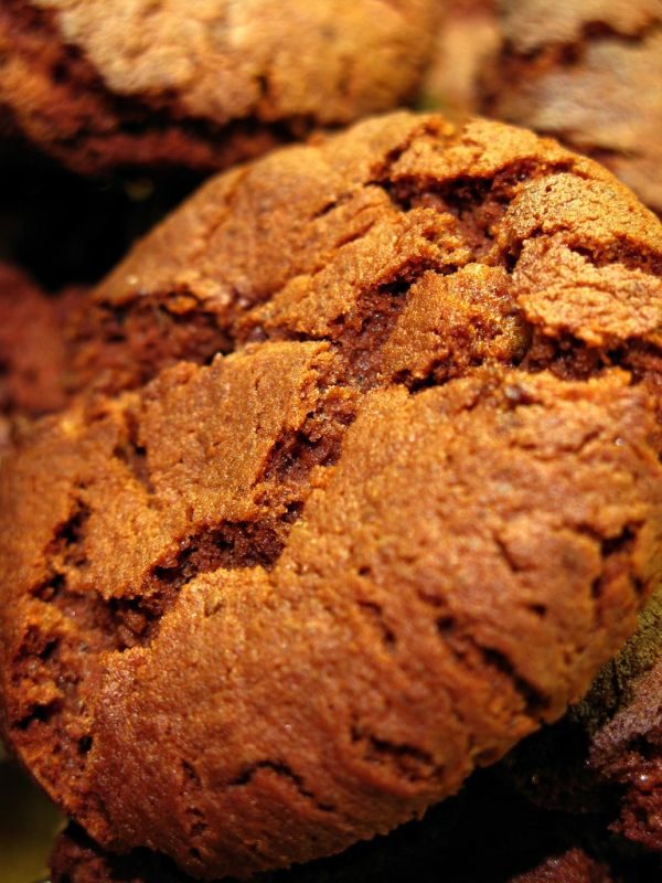 Chocolate Bit Cookies
